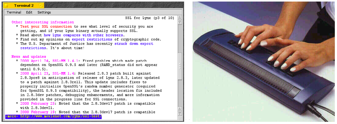 Text-Only Browser "lynx" und Braille Ausgabegerät