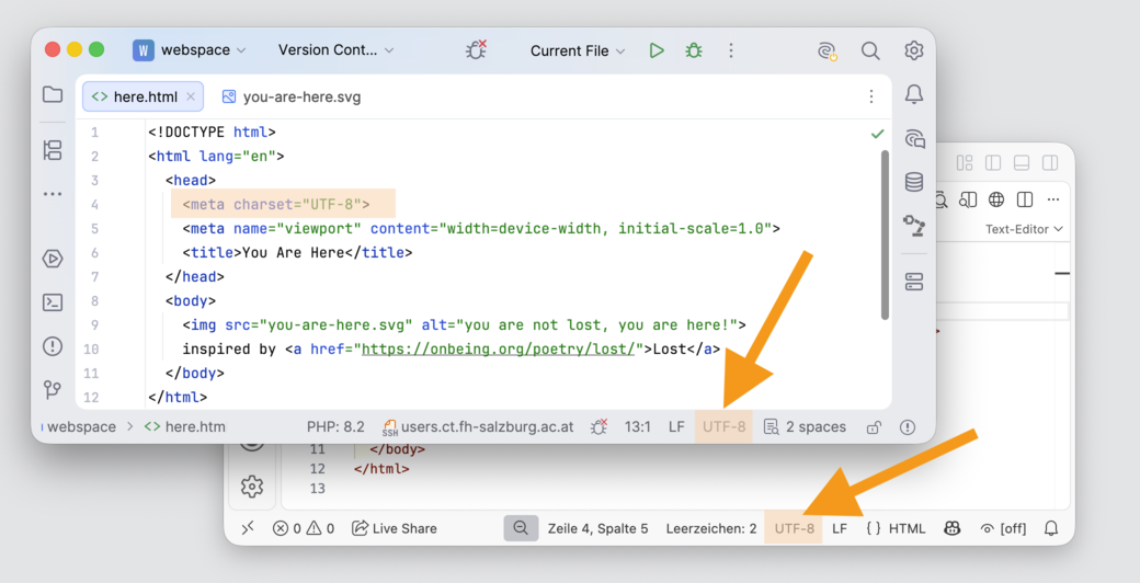 Screenshots PHPStorm und VS Code